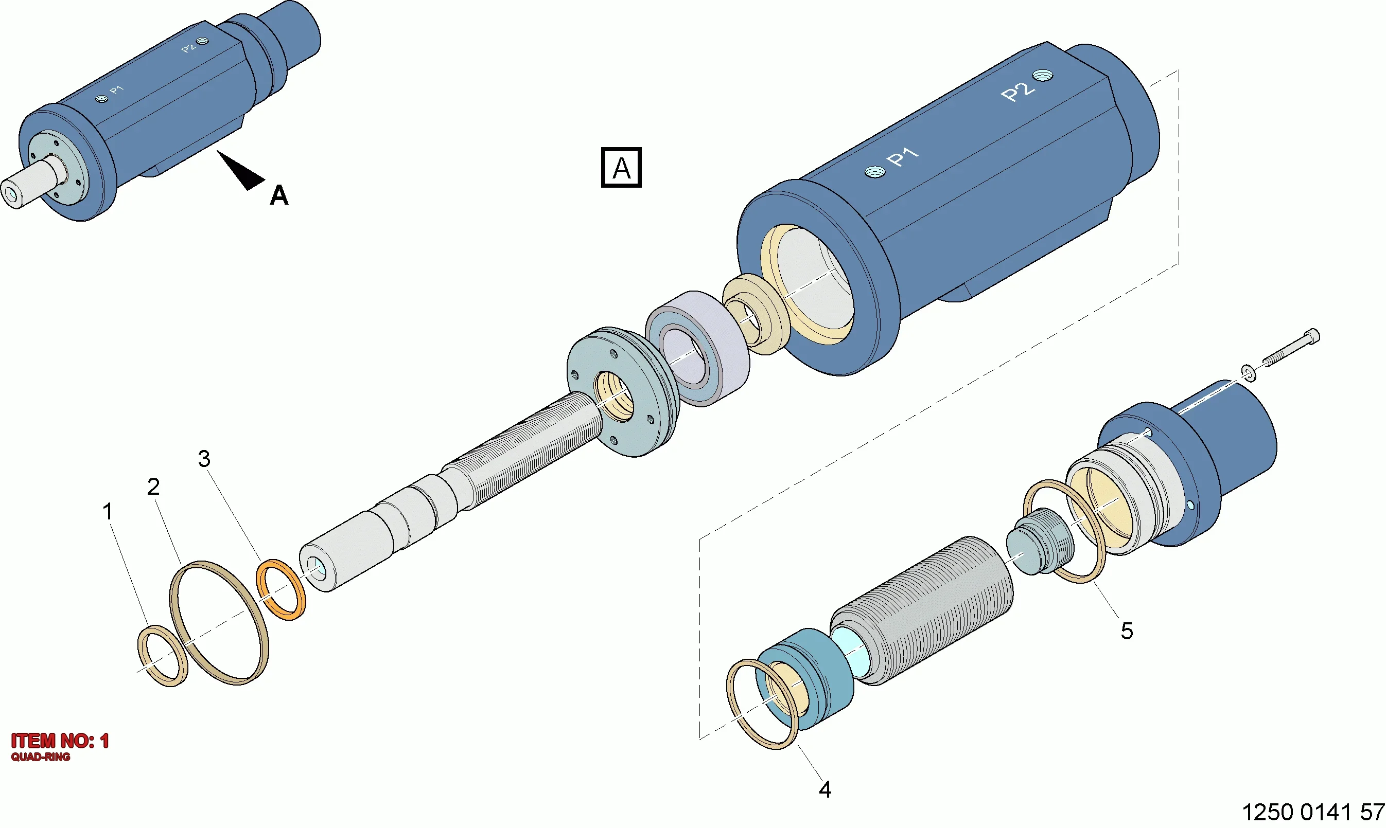 3222 3196 60 QUAD-RING - Technical Drawing