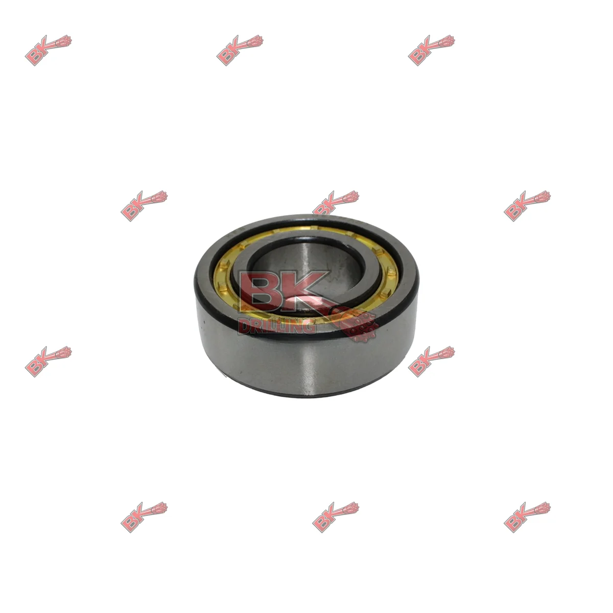 871 806 69 CYLINDRICAL ROLLER BEARING